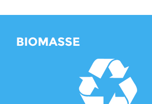 biomasse2